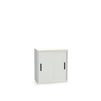 Шкаф-купе архивный ALS-8896