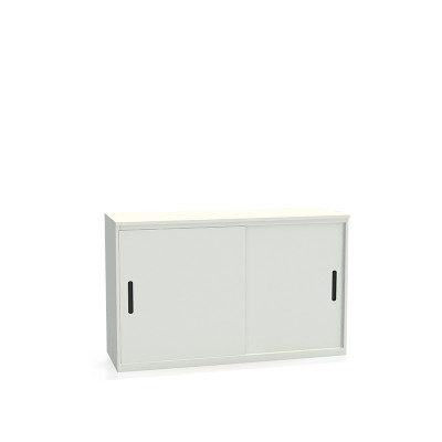 Шкаф-купе архивный ALS-8815